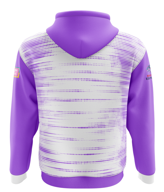 Llandrillo Dragons The Fae's Esports Hoodie