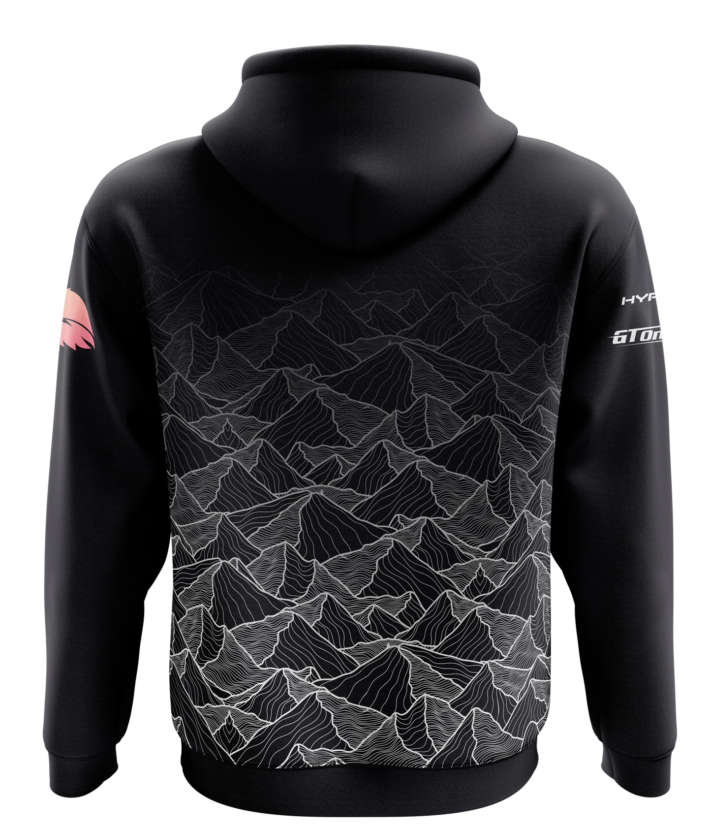 Alva Academy Esports Hoodie