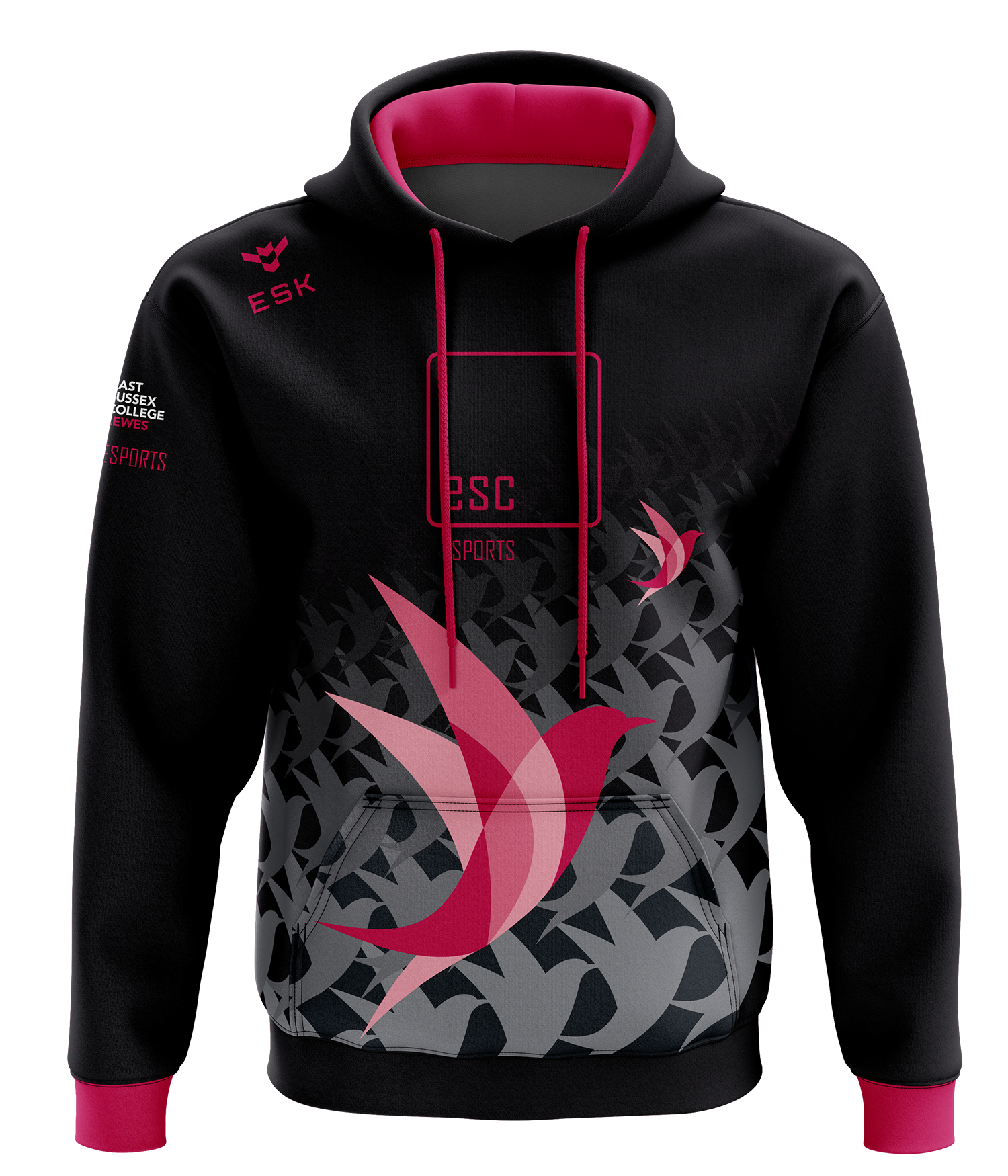 ESC Esports Hoodie – ESK