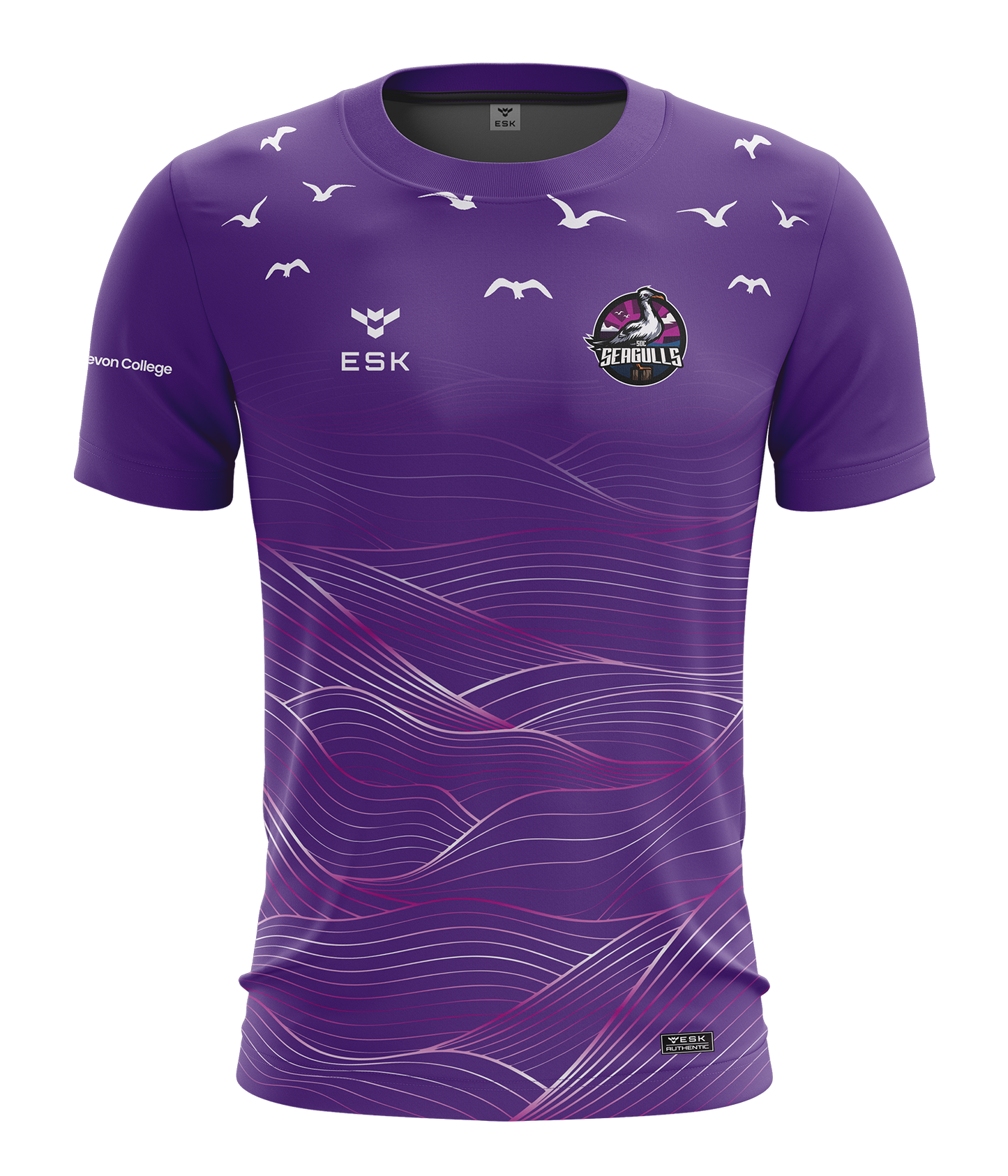 SDC Seagulls Esports Jersey