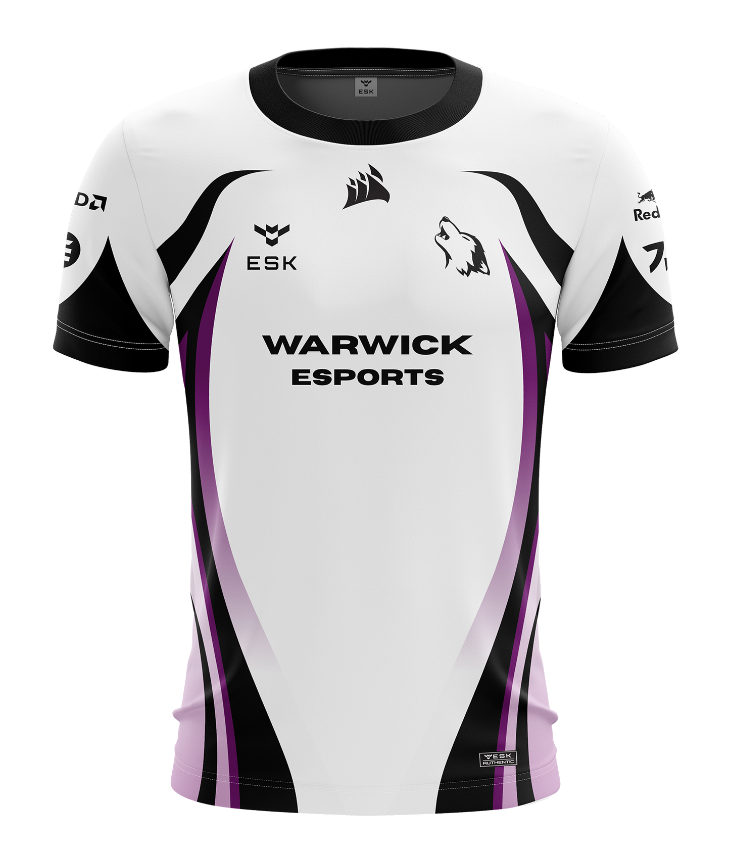 Warwick Esports Purple Reign Jersey