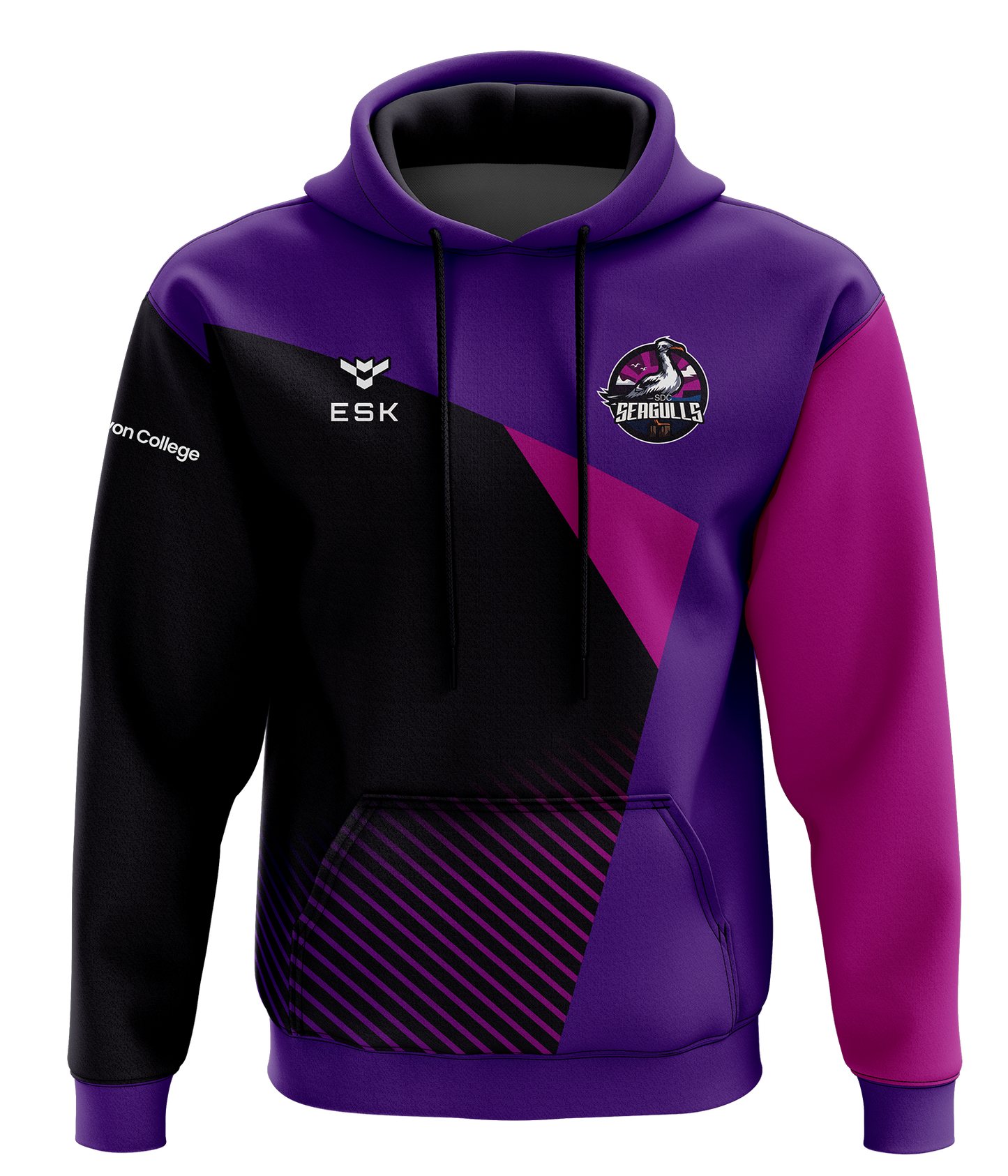 SDC Seagulls Esports Hoodie