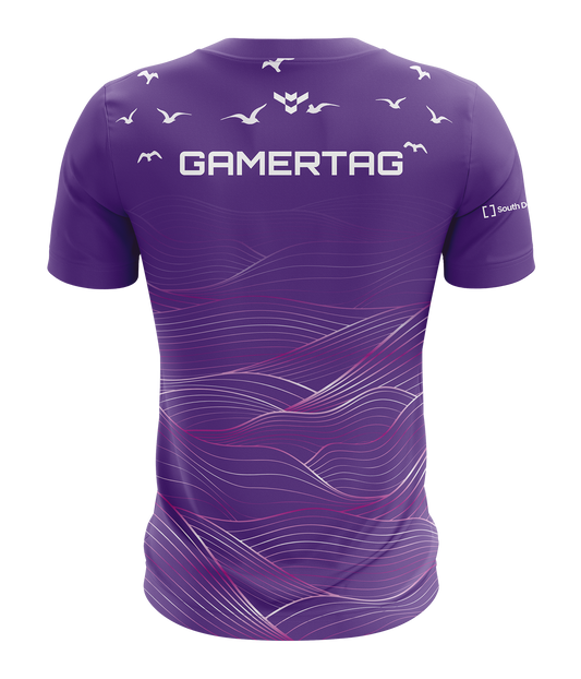 SDC Seagulls Esports Jersey