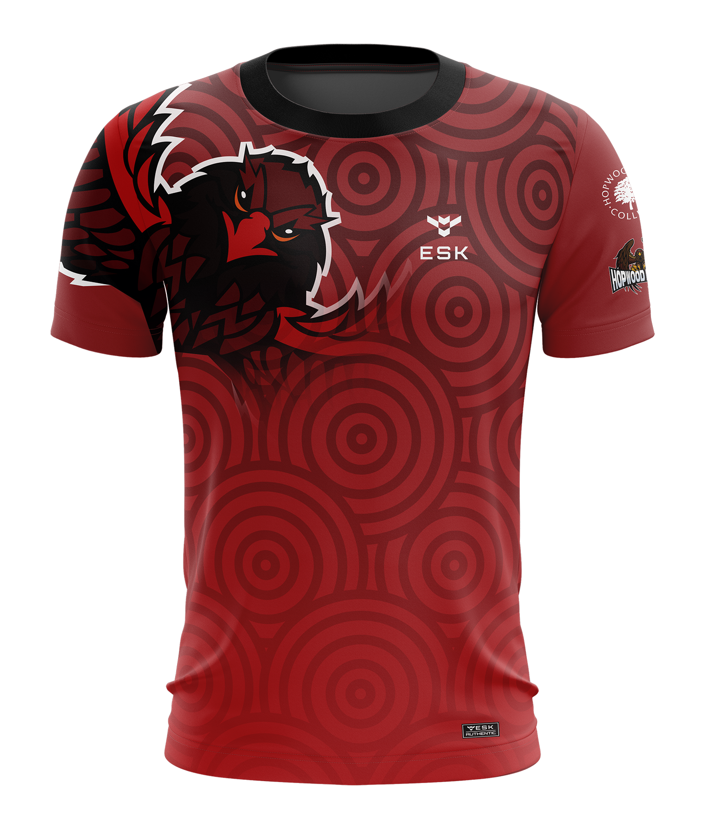 Hopwood Hawks Esports Jersey