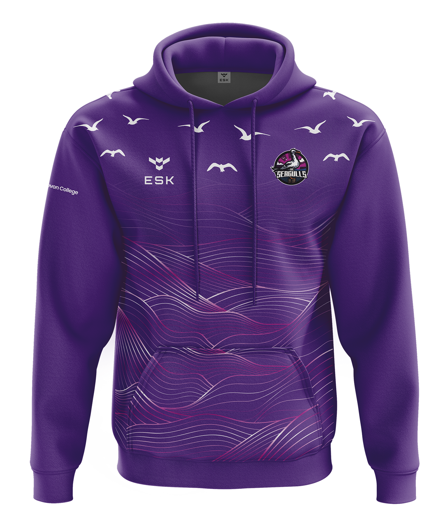 SDC Seagulls Esports Hoodie