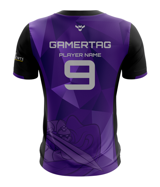 Portsmouth Paladins Esports Jersey