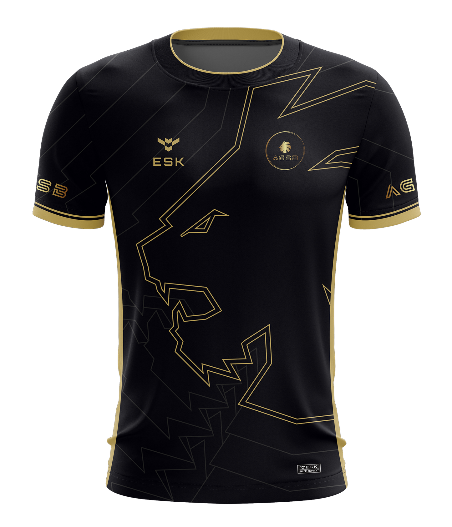 AGSB Esports Jersey