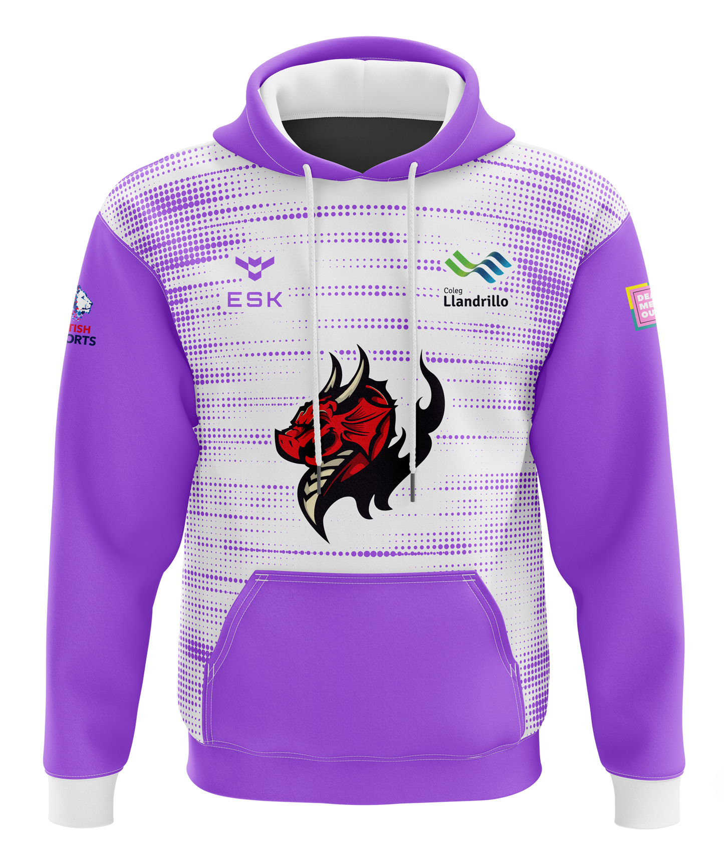 Llandrillo Dragons The Fae's Esports Hoodie