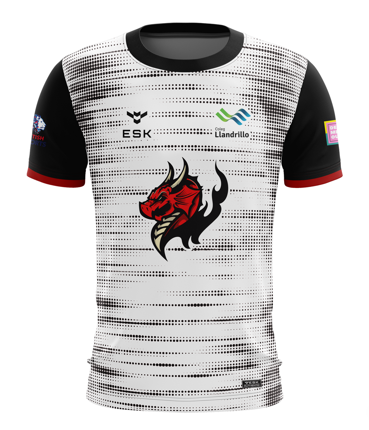 Llandrillo Dragons Student Esports Jersey
