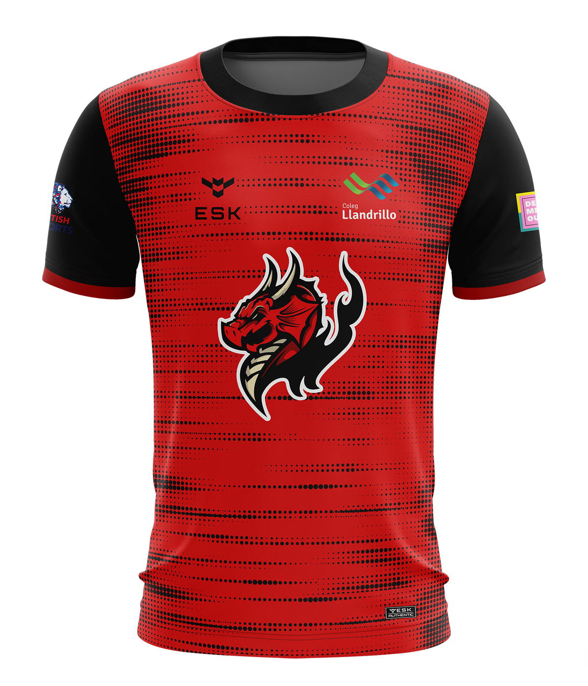 Llandrillo Dragons Alternate Student Esports Jersey