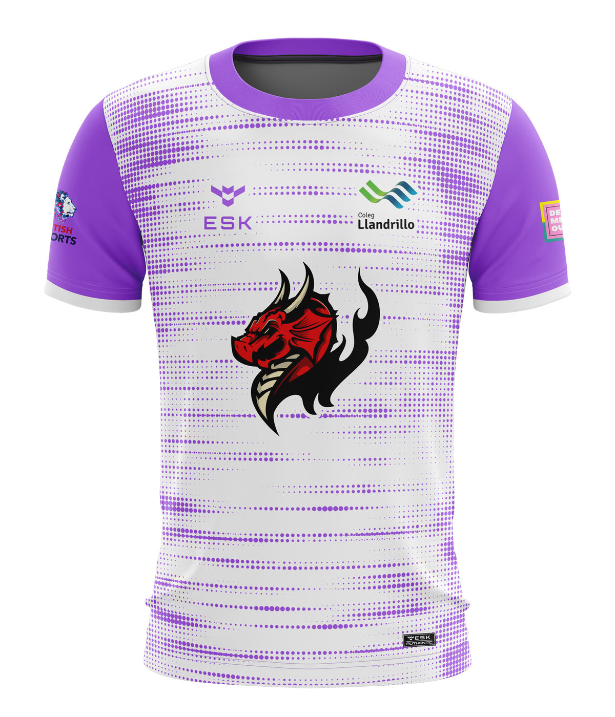 Llandrillo Dragons The Fae's Esports Jersey