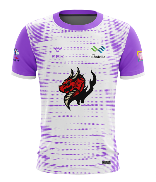 Llandrillo Dragons The Fae's Esports Jersey