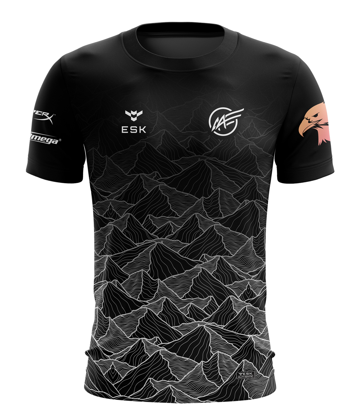 Alva Academy Esports Jersey